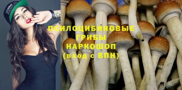 apvp Балабаново
